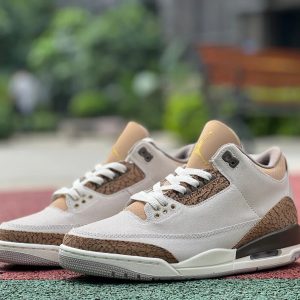 Jordann Retro 3 jack cactus