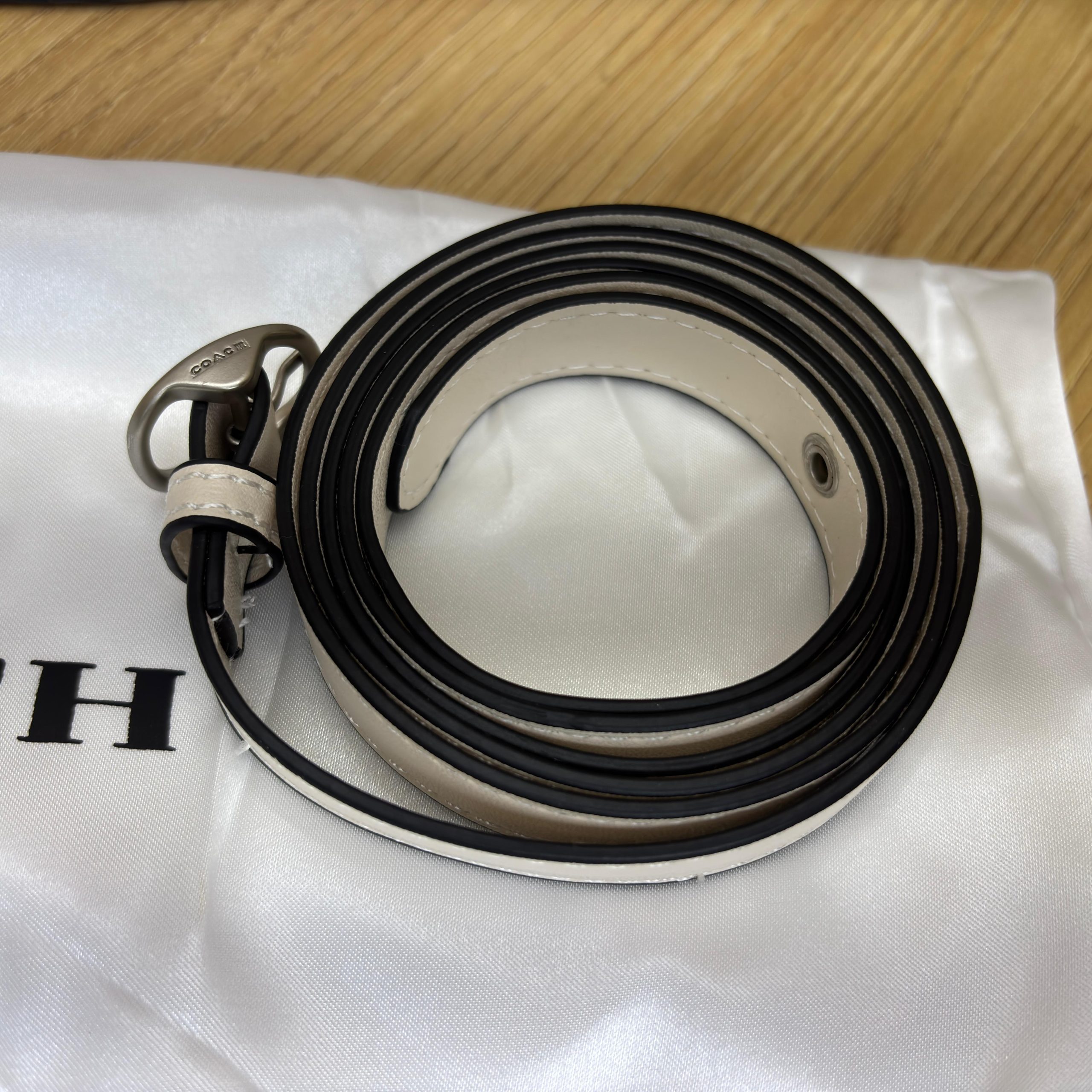 COACHH IDOL BAG 23 (OG SERIES) - Image 4