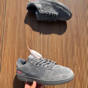 Nikes SB dunk supreme